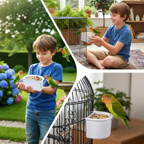 2 Pieces Bird Feeding Dish Bird Cage Accessories, Easy to Install, Hanging Feeding Bowl Parrot Cage Feeder Sturdy for Budgie, 10.9cmx9.8cmx5.4cm