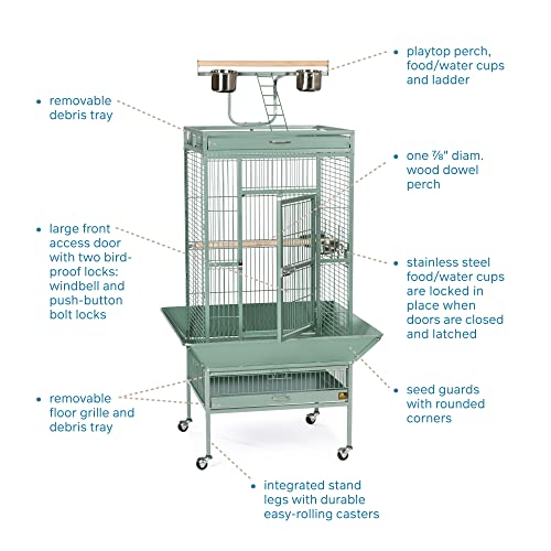 Prevue Hendryx Pet Products Wrought Iron Select Bird Cage 3152SAGE Sage Green, 24-Inch by 20-Inch by 60-Inch | Large Steel Cage with Rolling Stand, and Playtop, Durable Design, Ideal for Conures and Medium Birds - color: Sage Green, size: 24.0"L x 20.0"W