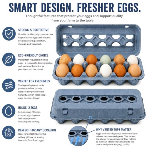 Vented Paper Pulp Egg Cartons - Blue (24)