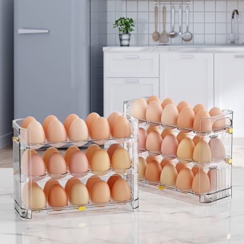 Reversible Egg Holder for Refrigerator and Countertop - Clear 30-Egg Storage Tray