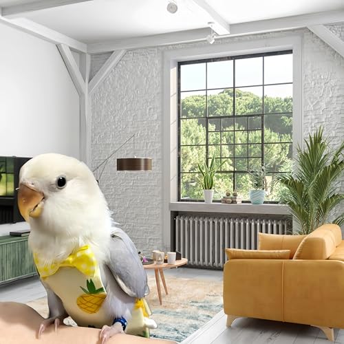 2 Pcs Bird Diapers Bird Harness Flight Suits Diapers with 80in Flying Leash Reusable Parrot Nappy with Waterproof Inner Layer for Cockatiel Budgie Conure Parakeet Lovebird-Apple&Pineapple