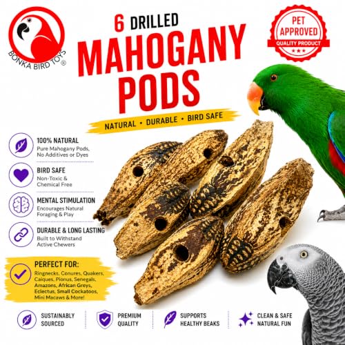 Bonka Bird Toys 3410 Drilled Mahogany Pods Shreddable Foraging Bird Toy with Natural Materials Hanging Cage Toy 9" for Small to Medium Parrots Budgie Cockatiel Conure Chewing Enrichment (Pack of 12) - size: Pack of 12
