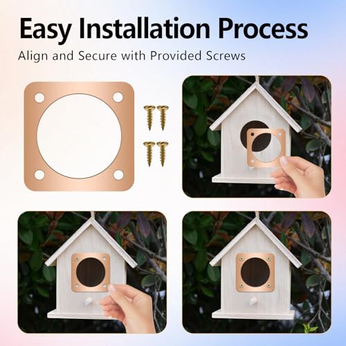 4 Pieces Birdhouse Predator Guard Copper Portal Metal Protector for Eastern Bluebird Houses 1 1/2 Inch Hole Guardian Baffle Mounting for Wren and Snake Defense(Rose Gold)