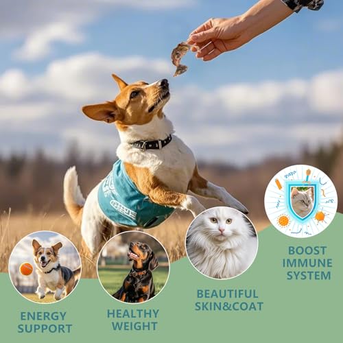 Freeze Dried Little Quail, 4.5 Oz Quail Dogs Cat Treats, Single Ingredient Freeze Dried Cat and Dog Treats Delicious Training Snacks, Natural Food Healthy Animal Protein Pet Food - size: 4.5 Ounce (Pack of 1)