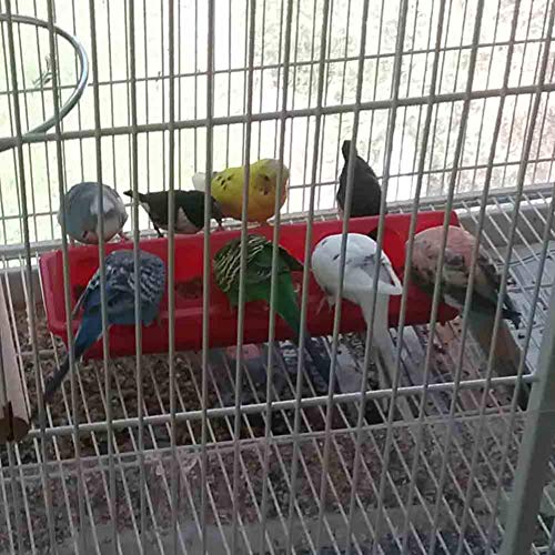 Flip Top Chick Feeder Trough, Plastic Bird Small Poultry Feeder | No Mess, No Waste Chicken Feeder for Small Chicks, Pigeons, Quails, Birds, Ducklings, Ideal for Using in a Brooder (Red) - color: Red