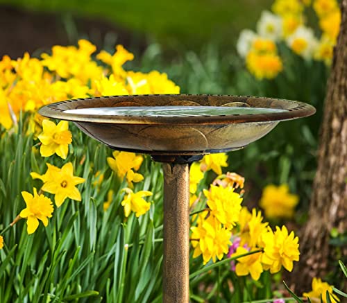 Westcharm 28 Inch Lightweight Poly Resin Outdoor Birdbath for Outside with Decoration Pedestal Base Stand - Pedestal Bird Bath for Outdoors Yard and Garden - Antique Bronze - color: Bronze, size: 28 Inch Tall