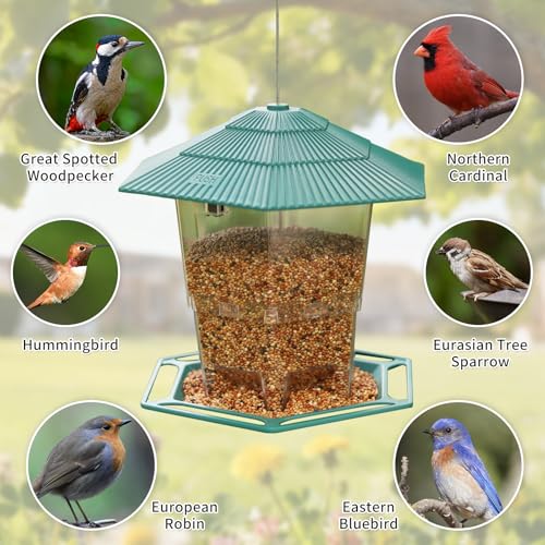 Bird Feeder for Outdoors Hanging,Hanging Wild Bird Feeders with S Hook for Blue Bird, Cardinals, Finches,Wild Birds Seed Feeder, As Gift for Bird Lovers（Green） - color: Green Bird Feeder