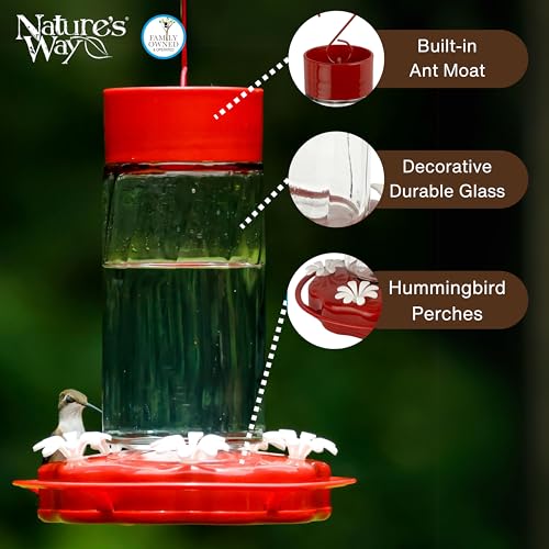 Nature's Way Hanging Glass Hummingbird Feeder for Outdoor Décor, 20 Ounce Capacity Nectar Feeder, Ant Moat, 5 Easy to Clean Flexible Ports, Red - style: 20 Ounce Capacity