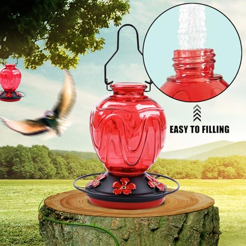 Glass Hummingbird Feeder for Outdoors Hanging, 24Ozs Humming Bird Nectar Feeder w/Perch, 5 Flower Feeding Ports, Leak Proof Base and Hook for Outside Garden Backyard Decor, Gifts for Women Mom, Red - color: Red