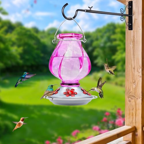 Glass Hummingbird Feeders for Outdoors Hanging, Ant Moat, Purple | 22oz, 5 Feeding Ports, Leak Proof, Weather Resistant, Easy Refill & Clean, Garden & Yard Decor, Gifts for Women Men Mom Dad - color: Ruby Purple