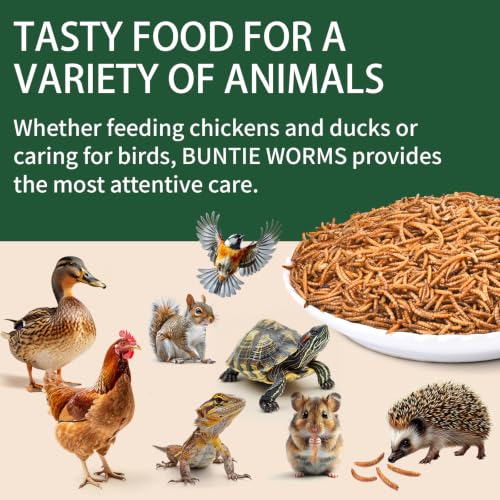 BUNTIE WORMS 5LB Dried Mealworms for Wild Birds and Chicken | High Protein Chicken Treats, 100% Natural Non-GMO Mealworms Chicken Feed for Bluebirds, Chickens, Ducks, Reptiles - size: 5 Pound (Pack of 1)