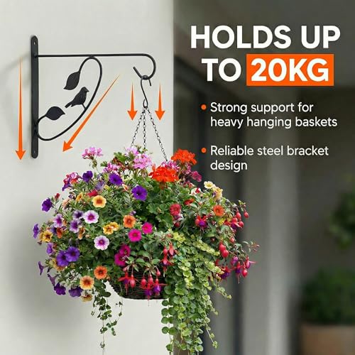 Bird Scroll Metal Wall Bracket for Hanging Accessories and Flowerpots Suitable for Indoor & Outdoor Use, Black Set of 2 - color: Black, size: Bird Scroll