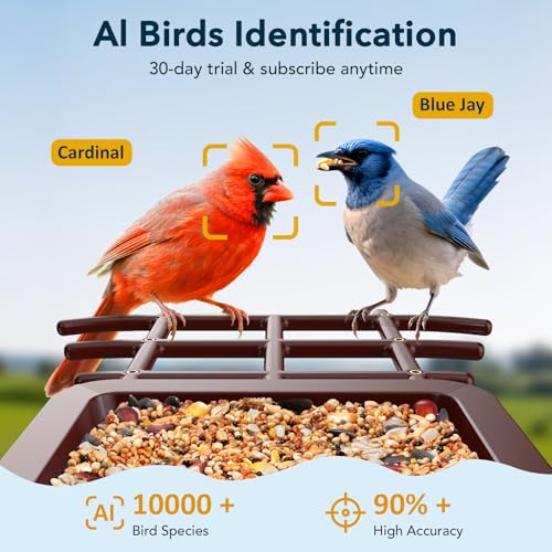 PeckCam® Bird Feeder with Camera Solar Powered 2K Live Video Auto Capture | AI Bird Species Identification, Instant App Alert, IP65 Waterproof, Easy Setup, Backyard Bird-Watching, Gift for Bird Lovers - color: Red