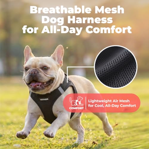 Voyager Step-in Air Dog Vest Harness - Black, X-Small | 13 - 14.5" in Chest, Reflective Bands, All Weather Breathable Air Mesh, Cats Compatible, Lightweight, Fast Drying - color: Harness (Black), size: XS (Chest: 13 - 14.5")