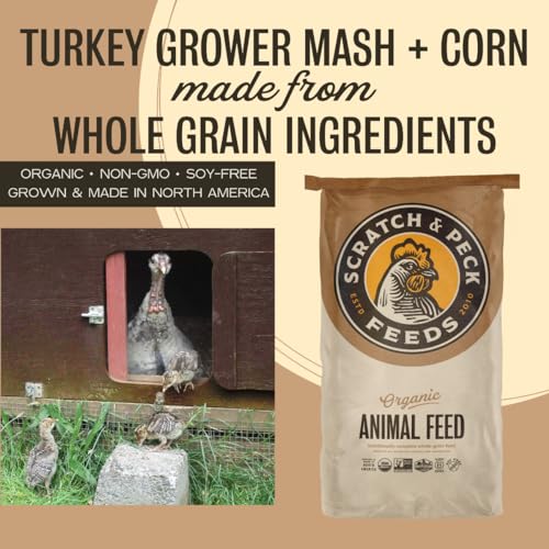 Scratch and Peck Feeds | Grower Mash + Corn for Turkeys | 40 lb Bag | 20.5% Protein, Soy Free, Fermentable Whole Grains, Certified Organic & Non-GMO Project Verified, Complete Nutrition