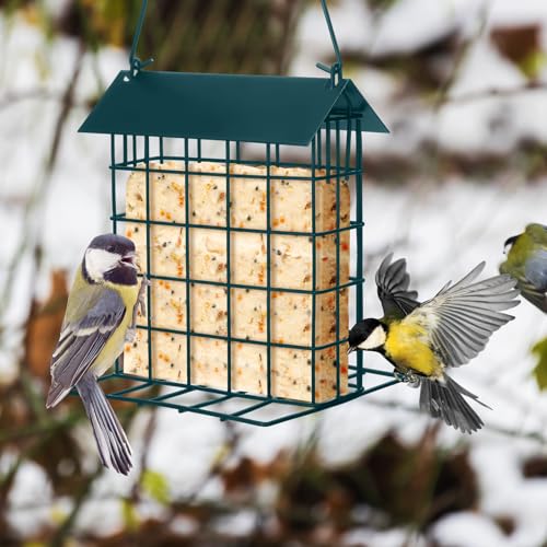 Nuogo 4 Pcs Wild Bird Feeder Squirrel Proof Outdoor Hanging Suet Holder with Metal Roof and Platform Outside Cake Suet Feeder Rainproof Cage for Oriole Hummingbird Chickadee Nuthatch(Dark Green)