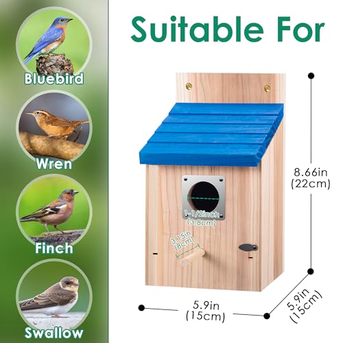 Dreyoo 4 Pack Bluebird Houses for Outside, 1-1/2'' Entrance Hole Wooden Bluebird Houses for Outdoors with Metal Guard, Secure Latch, Fledgling Grooves, Air Vents (Blue Roof with Wood Body)