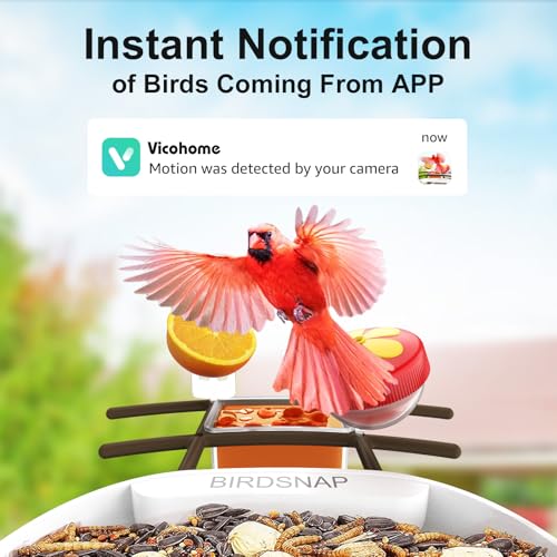 birdsnap® PAV Bird Feeder with Camera Solar Powered 2K Live Video 64GB Card | AI Bird Species Identification, Instant Arrival Alerts, IP65 Waterproof, Wild Bird Feeders for Outdoors, Gift for Bird Lovers - color: Dark Brown
