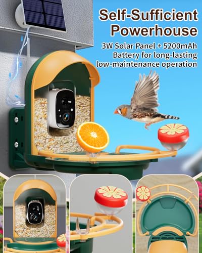 Bird Feeder with Camera, AI Recognition, Bird Bath, Solar Powered | Identify birds with AI, capture sharp 2K video, enjoy solar charging, bird bath design and instant smart app alerts. - color: Green, size: With BirdBath