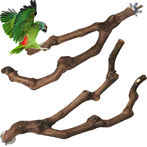 PINVNBY Natural Parrot Perch Bird Stand Pole Wild Grape Stick Paw Grinding Fork Parakeet Climbing Standing Branches Toy Chewable Cage Accessories for Small Lovebirds Budgies Cockatiels 2PCS - size: 9.8in