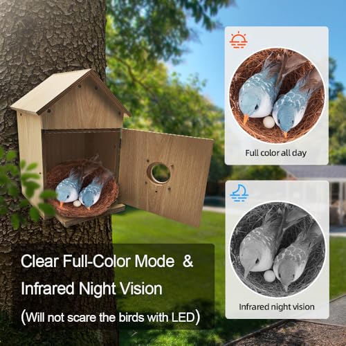 X32D Solar Powered Outdoor Wireless Birdhouse with WiFi Camera | Nesting & Hatching View, Motion Detection, SD Card, Cloud Storage, IR Night Vision, IP65, for Bluebird Swallow Wren Chickadee