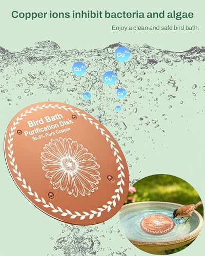 OICEME Bird Bath Purification Disk Pure Copper Backyard Outside Solar Power Wild Hummingbird Pedestal Fountain Cleaner Outside Humming Feeder Cage Dispenser Ground Safe Lover Women Gifts - color: Copper 3PCS Bird&Butterfly&Daisy