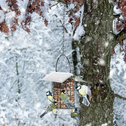 Bird Feeder for Outdoors, Squirrel Proof Suet Feeder for Outside Hanging | Adjustable Chain Hanging for Garden Yard Outside - Suet Cake Feeders Squirrel Proof Birdfeeder