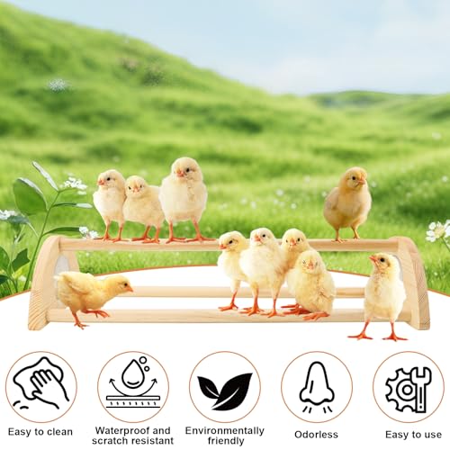 Chicken Perch with Mirror Roosting Barfor Baby Chicks | Chick Jungle Gym Roosting Bar Strong Wooden Baby Chick Perches Outdoor Use, Easy Installation