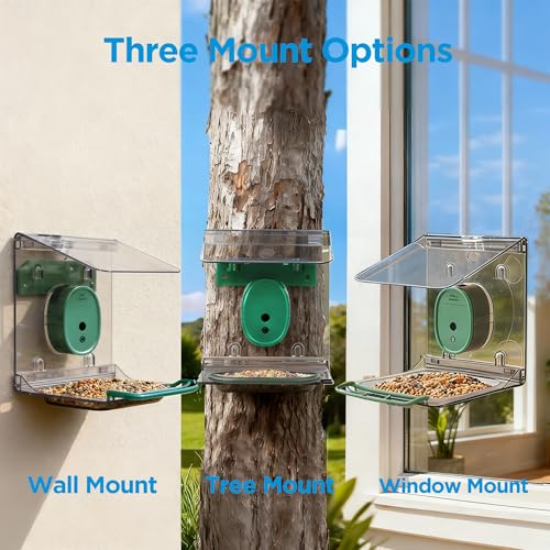 Smart Bird Feeder with Camera Solar Powered,2K UHD Video Live Stream,Easy Set Up,AI Bird Species Identification, Auto Capture Videos&5MP Photos,Instant Alerts,Gifts for Bird Lovers