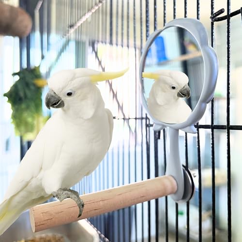 Bird Mirror with Perch - Easy Cage Install, Ideal for Parakeets Cockatiels Conures Lovebirds Finch Canaries Budgies, Wooden Bird Toys (2 Pack)