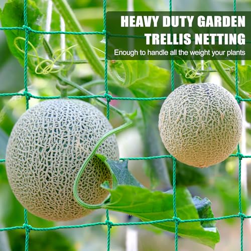 Trellis Netting for Climbing Plants, Cucumber/Tomato Garden Trellis Netting | Heavy Duty Garden Netting for Trellis for Climbing Plants Outdoor, Thickened Plant Grow Net for Vine, Fruits, Vegetables,Bean - size: 6.6x16.5 FT (27 Strands)