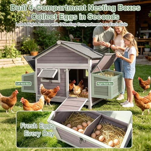 Large Chicken Coop for 2-4 Chickens, Outdoor Wooden Hen House with Weatherproof Asphalt Roof, 4 Sectionable Nesting Box, Dual Ramp Doors, Pull-Out Tray, 67.3" L x 36.8" W x 40.6" H - Grey - size: 67.3"L x 36.8"W x 40.6"H