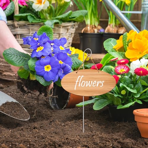 10 PCS Heavy Duty Shepherd Hooks,15.72 Inch Plant Label Hooks Garden Hanging Stake for Wedding Gardens Yards Flower Pots Wind Chimes Bird Feeders