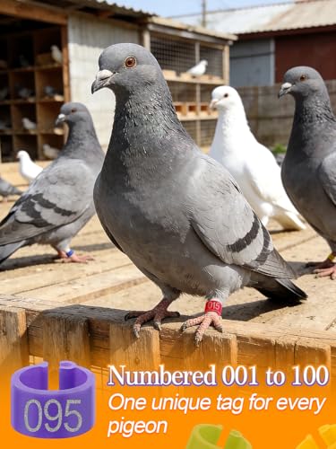 MEWTOGO 0.3in 100 Pcs Numbered Bird Pigeons Leg Identification Bands | Openable Reusable Readable 1-100 Poultry Leg Rings for Bantam Finch Dove Lovebird Coturnix Quail - size: 0.3in