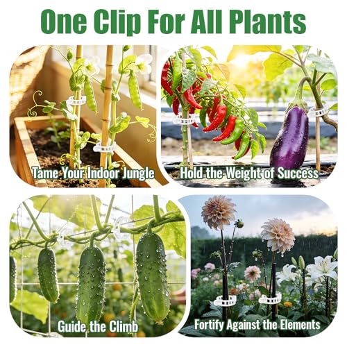 300Pcs Thickened Tomato Clips, Plant Support Clips Plastic Trellis Clips | Plant Clips for Grape Vine, Tomato Vine, Vegetable Plants, to Grow Upright Makes Plants Healthier, White - color: White