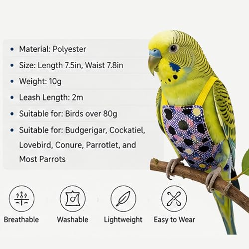 Parrot Flight Suit with Elastic Leash, 2-in-1 Vest & Traction Set, Quick-Release Design, 2 Colors (Blue Heart/Black Heart), Polyester, 7.48x7.87in, for Budgie Cockatiel Lovebird (Black Heart) - color: Black Heart