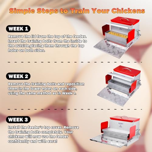 Feeders Automatic Chicken Feeder - Large Capacity for 6-12 Chickens, Lasts 10 Days (25lb Feed), Durable Galvanized Steel, Rat-Proof, No-Spill, Weatherproof Lid - color: Red, size: 25LB