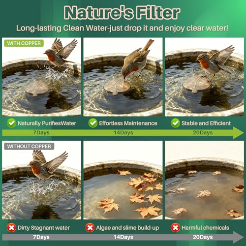 3Pcs Leaf Bird Bath Copper Purification Disk | 99.99% Pure Copper Bird Bath Discs 0.6mm Reinforced,Natural Physical Cleaner for Outdoor Birdbaths, Fountains & Bowls - size: 3Pcs Leaf