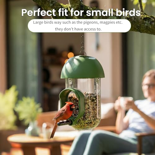 ‌LONA 1Pack Tube Bird Feeders, Weatherproof Design with 1 Feeding Port | Easy-fill Top Design, 2 Ways for Hanging, Suits Mixed Seeds, Squirrel-Proof Bird Feeder for Backyard/ Garden/ Patio, Green - size: 1 Port