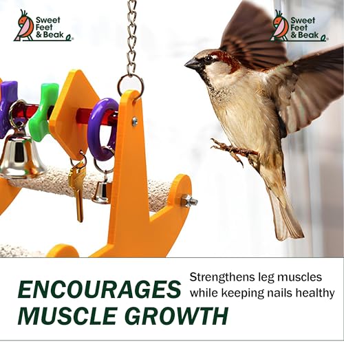 Sweet Feet and Beak Tweeter Totter Rocker, Two Perch Bird Swing, Small | Two Pedicure Perch Bird Toy, Made from Break Resistant Plastic, Hanging Toy for Play and Leg Activity, Available in 3 Colors - size: Small