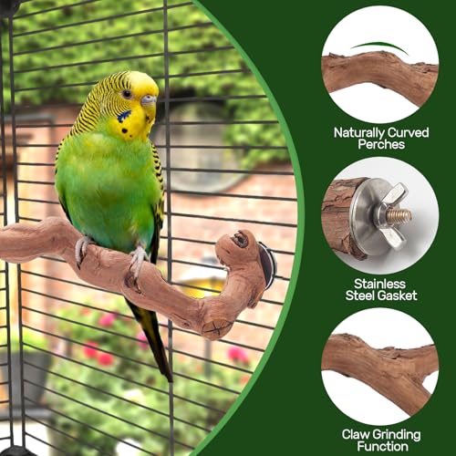 6-Piece Premium Bird Perch Stand with Natural Grape Wood Branch, Paw Grinding Fork, Chewing Stick, Cage Accessories for Parakeets, Budgies, Cockatiels, Finches, Lovebirds - size: 6Piece