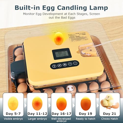 Incubators for Hatching Eggs, 56 Eggs Incubator with Egg Candler, Auto Egg Turner, Temp & Humidity Control, Hatch Day,360° Viewing for Chicken,Duck,Quail Eggs,Ideal for Farm,School and Lab,Blue&Yellow - size: 56 Eggs