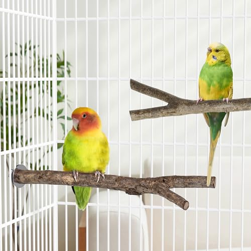 Niteangel Natural Wooden Perches for Bird Cages - Ideal for Cockatiels, Parakeets, Finches & Other Caged Birds (Natural Bark, 2 Pack) - color: Natural Bark