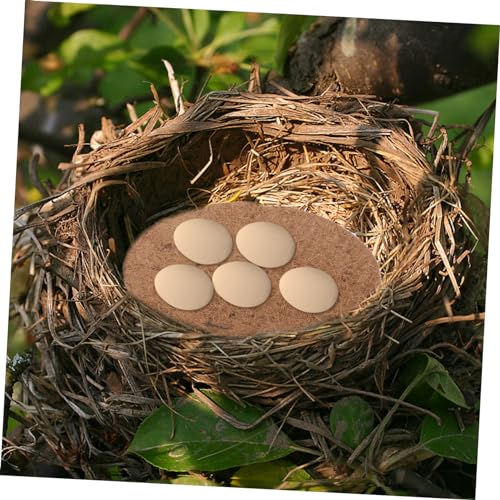 Totority 10Pcs Pigeon Nest Pads Palm Mat for Bird Eggs for Hatching House for Parrots Hamsters Animals Nesting Material
