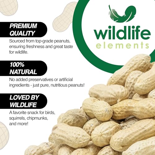 Wildlife Elements Peanut Party Unprocessed, Raw in-Shell Peanuts Wildlife Animal Food, 10lb - Rich in Protein, Healthy Fats, and Essential Nutrients for Birds, Squirrels and Waterfowl - size: 10lb, style: In Shell