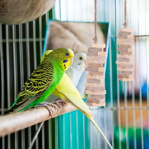 Yardwe Parrot Chewing Blocks 100Pcs Balsa Wood Bird Chew Toy Set with Hanging Holes Bird Toys Making Supplies for Cage Enrichment Beak Trimming DIY Craft for Parakeet Cockatiel Macaw