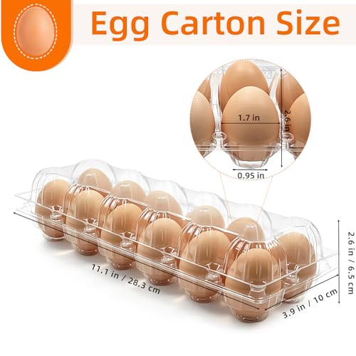60 Pack 2x6 Grids Plastic Egg Cartons Bulk 12 Count Clear, Reusable Stackable Dozen Chicken Eggs Containers Holders for Storage, Family, Farm Markets and Commercial Display