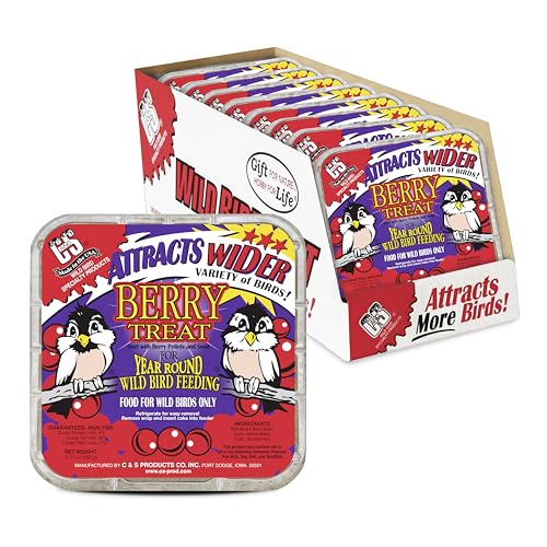 C&S Berry Suet Treat, Suet Cakes for Wild Birds, Pack of 8 | Suet cakes for woodpeckers, made with real berries, use in a suet feeder year-round - style: Berry, 8 Pack