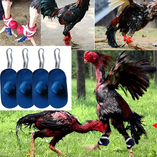 Gamefowl Rooster Supplies, Chickens Supplies Poultry Care Supplies Blue Fighting Protection (4 pecs) - color: Blue