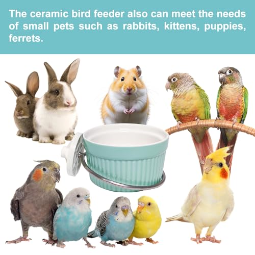 Bird Feeding Cups Parrot Food Cage Bowl Clamp Holder Coop Cup, Ceramic Bird Cage Water Bowl, Pet Feeder Cage for Parakeet African Greys Conure Cockatiels Lovebird Budgie-Blue - color: blue